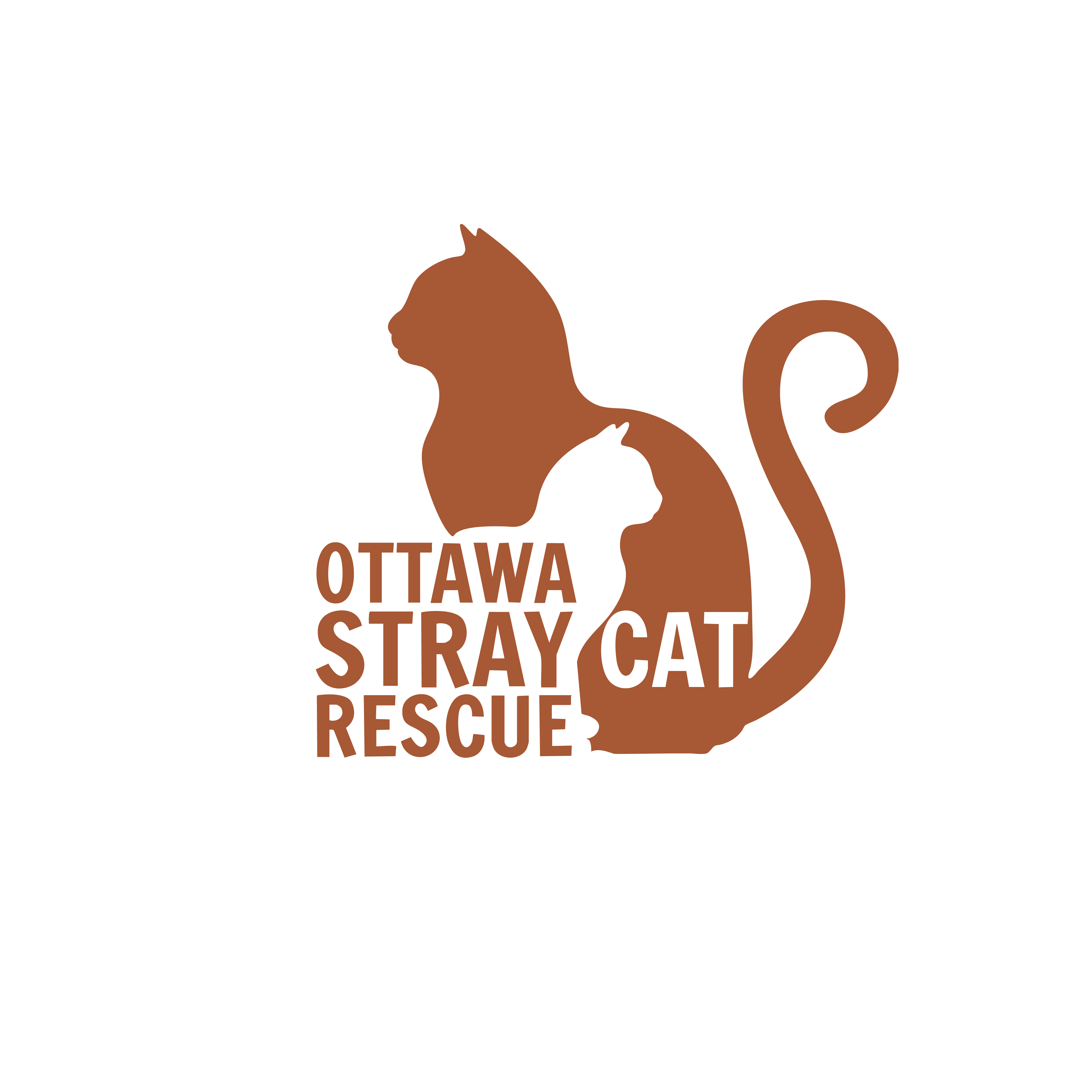 Ottawa Stray Cat Rescue